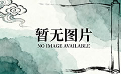 Comfortable Plus Size Bras Designed for Real Bodies